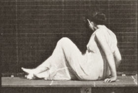 Plate 267 Turning and changing position while on the ground — figure reference